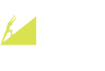 IFP Phoenix logo